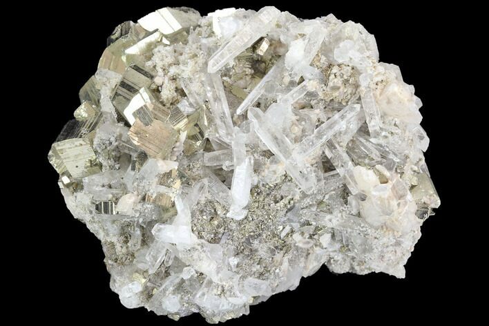 Gleaming Pyrite and Quartz Crystal Association - Peru #126606